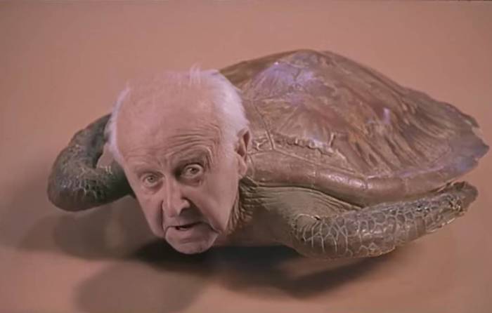 The Avalanches Frontier Psychiatrist NOWNESS